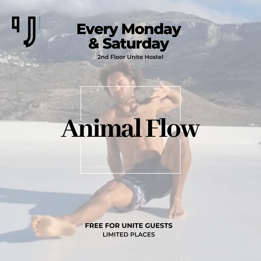 Animal Flow Classes